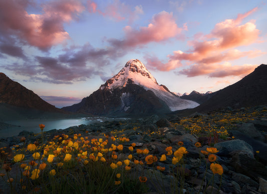 花海中的小珠峰 fototapet