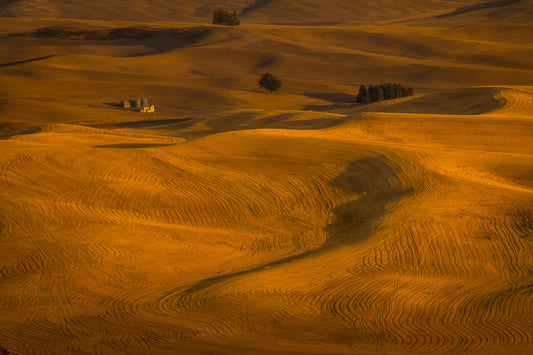Wheat Field in Sunset fototapet
