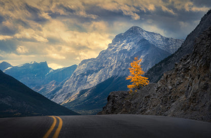 You caught my eye fototapet