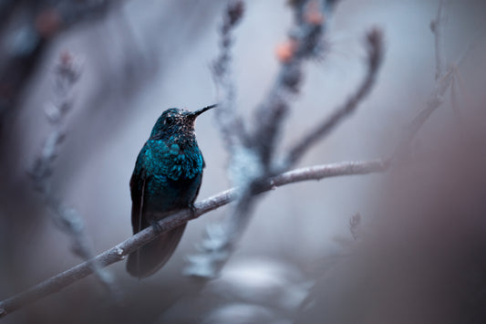 Electrical Blue fototapet