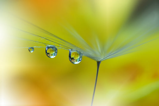 SunBeam...III fototapet