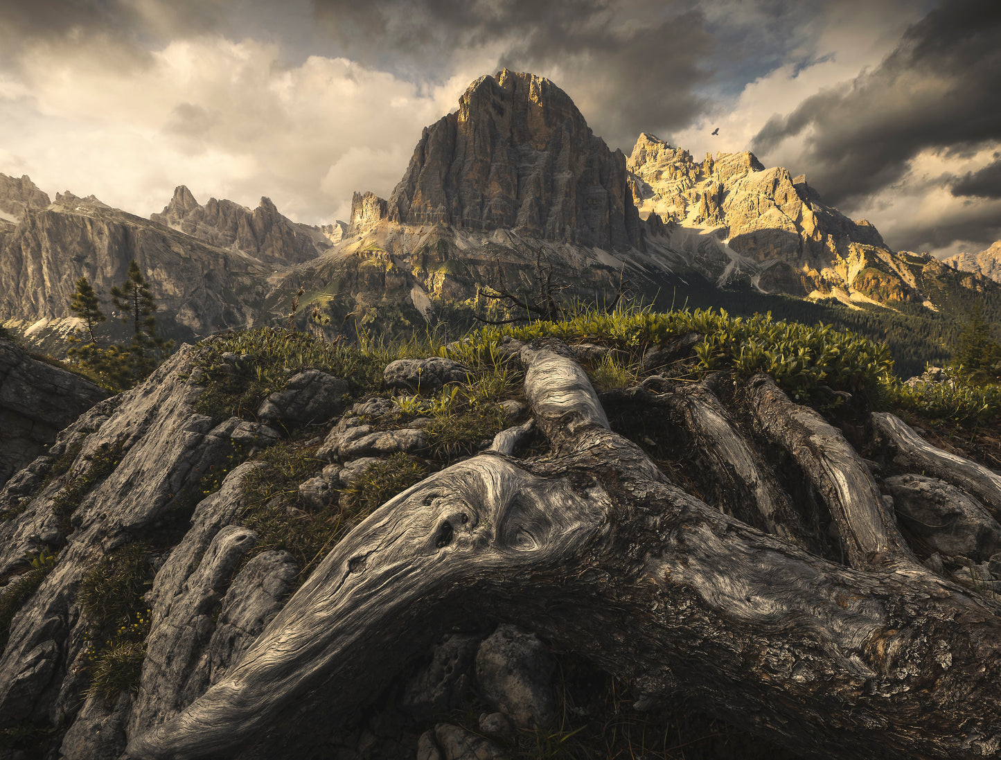 "Eudaimonia" fototapet