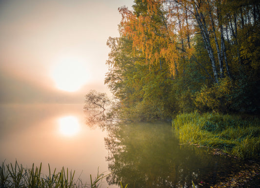 Swedish lake fototapet