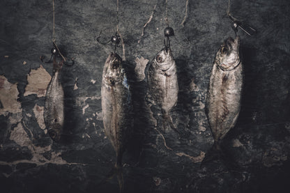 A new order of life fototapet