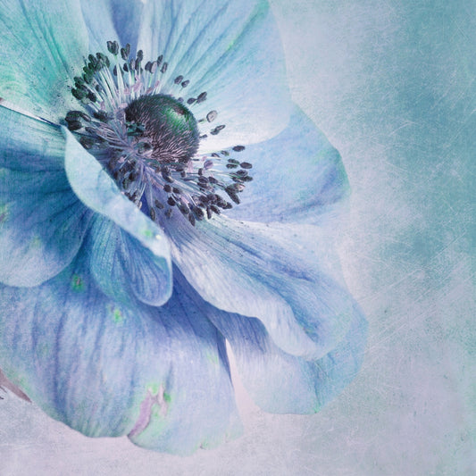 Shades of Blue fototapet