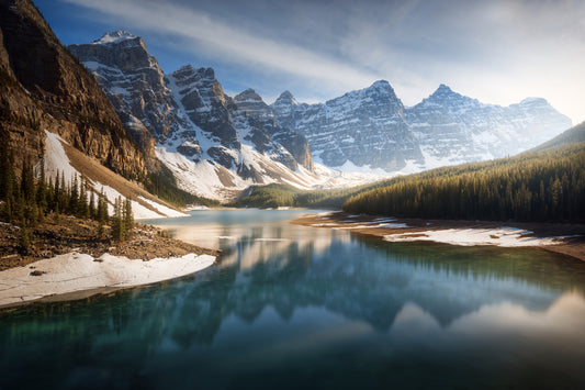 An old friend. fototapet