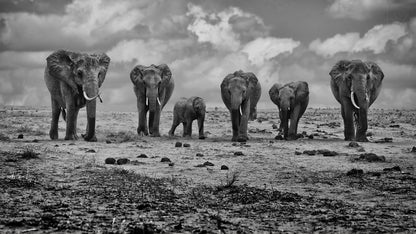 Big Family fototapet