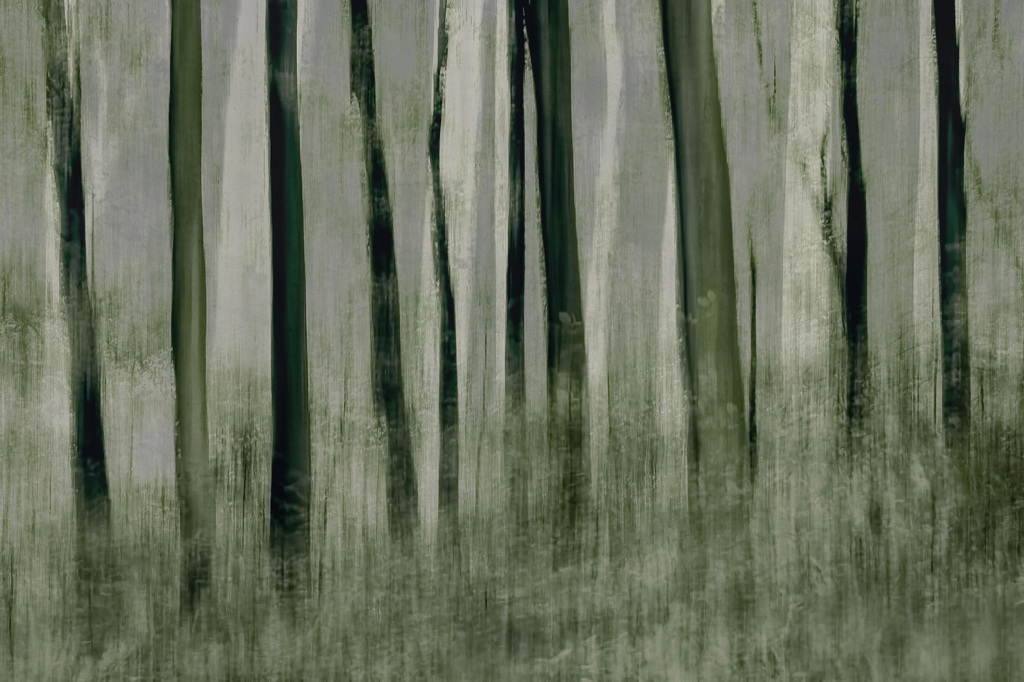 Trees in motion fototapet