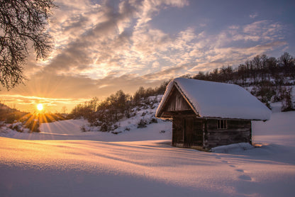 Winter fairytale fototapet