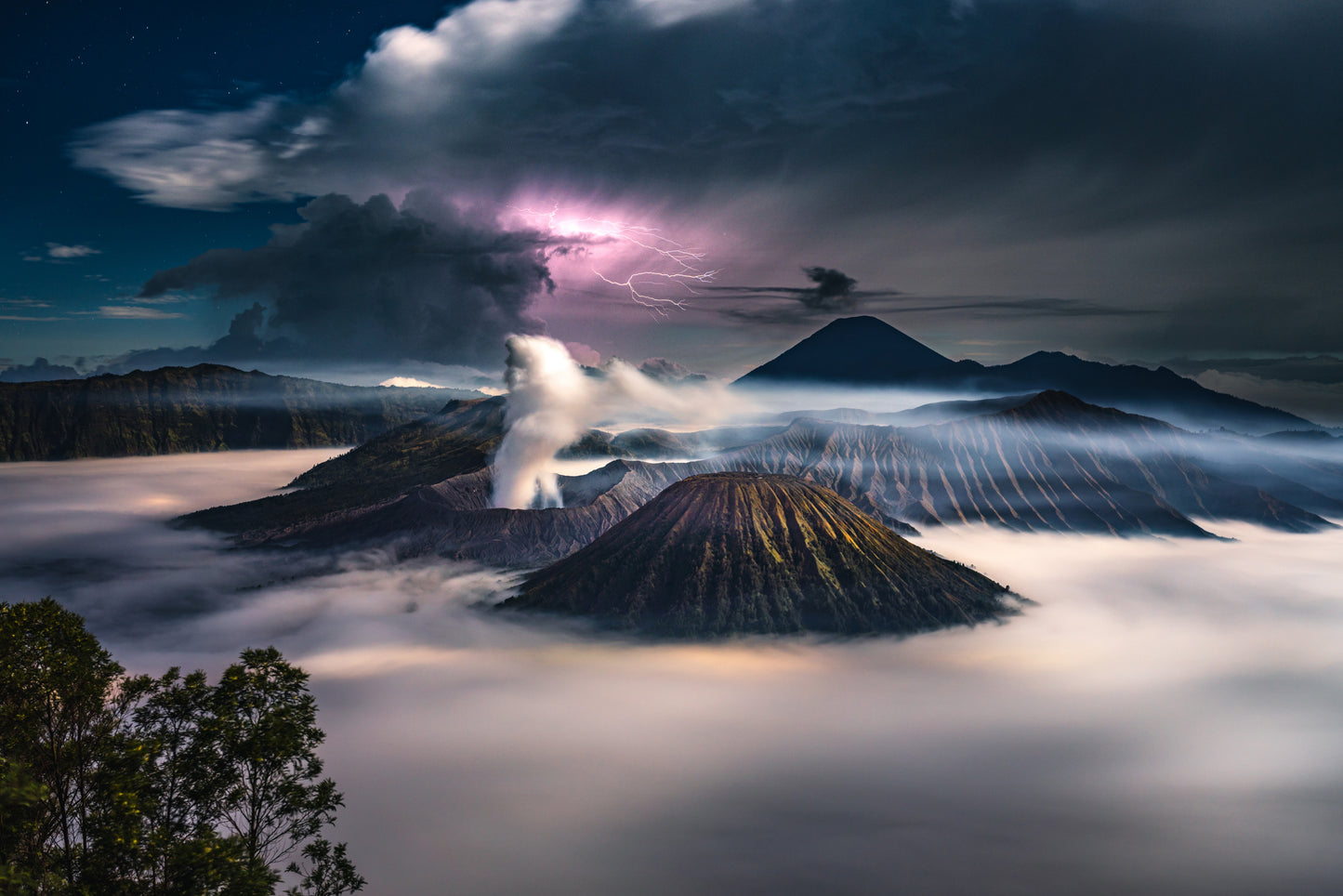 Bromo fototapet