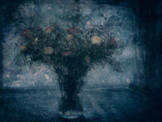 Winter serenade fototapet