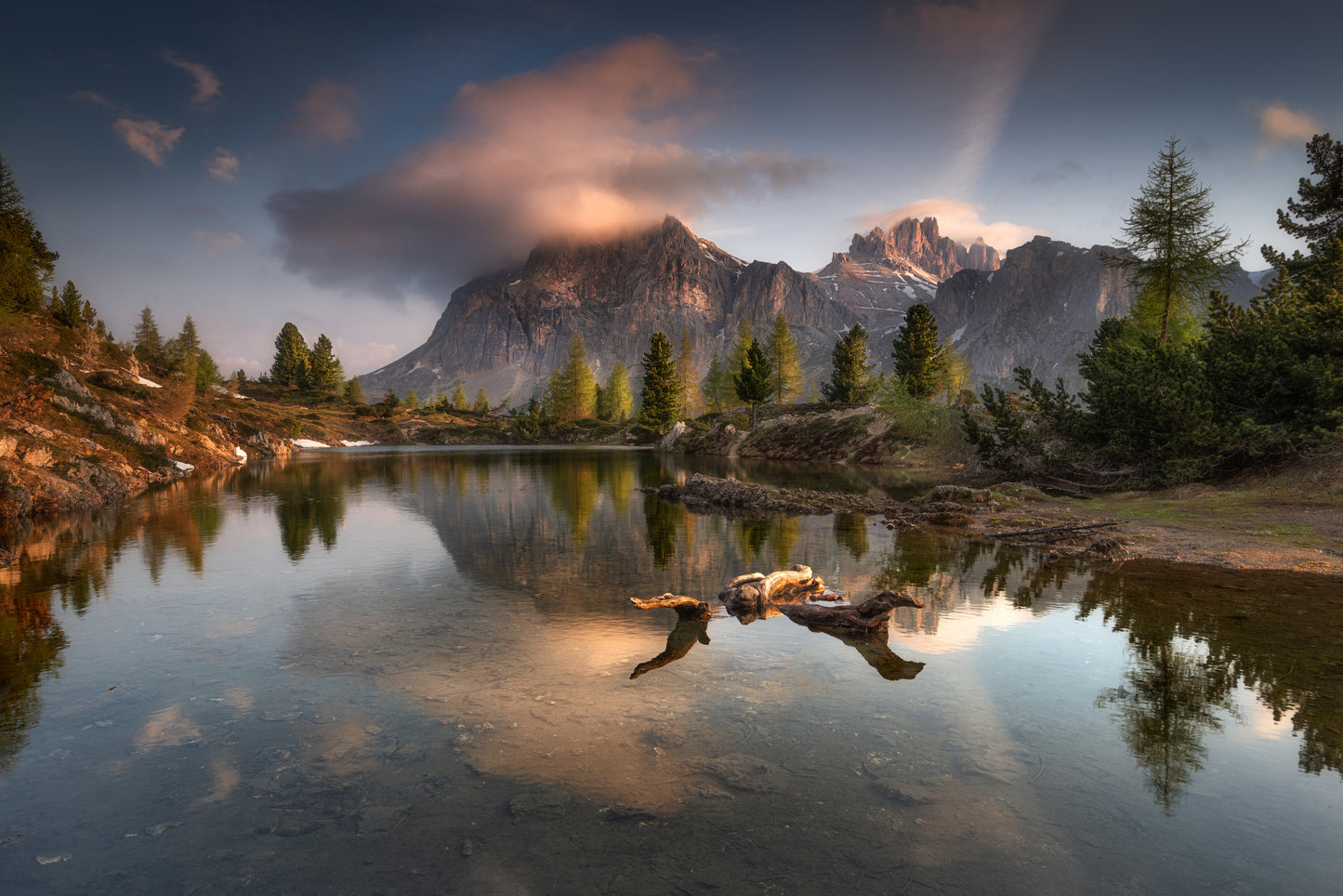 "WONDERFULL LIFE" fototapet