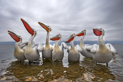 Waiting for a fish fototapet