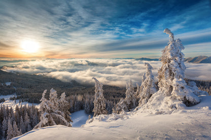 WinterTime fototapet