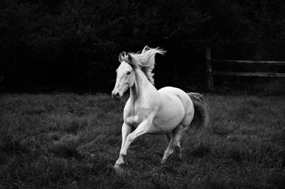 a short story about the hero of one of the calendar pages fototapet