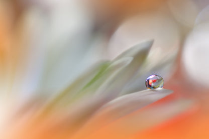 A Colorful World...II fototapet