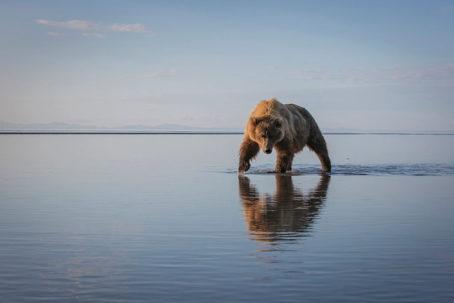 Walking My Walk fototapet