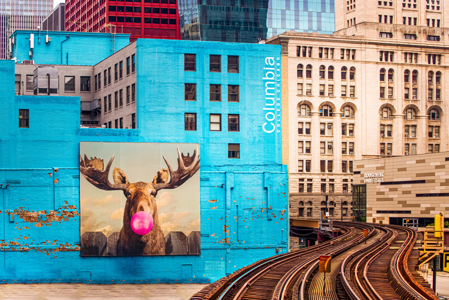 Within The Loop fototapet