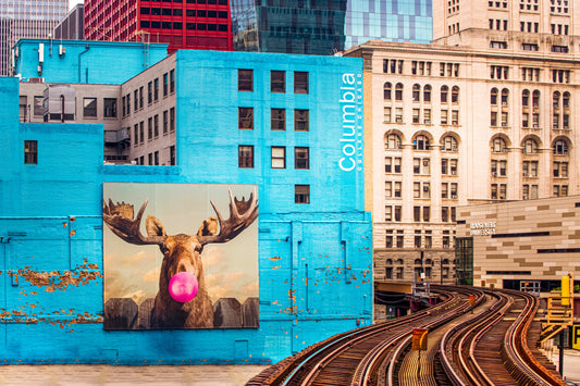 Within The Loop fototapet