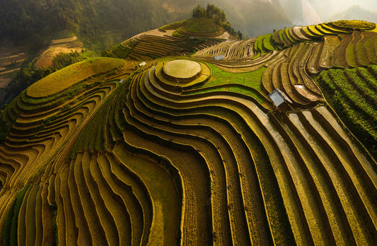 mu cang chai - vietnam fototapet