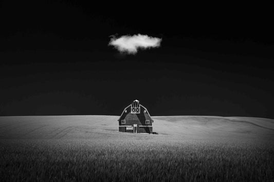 Watcher In The Rye fototapet