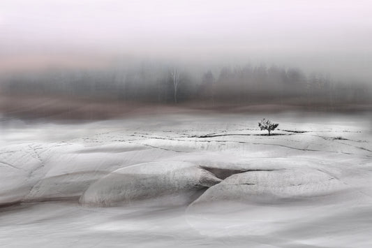 Winter silence fototapet