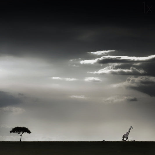 15 minutes of happiness fototapet