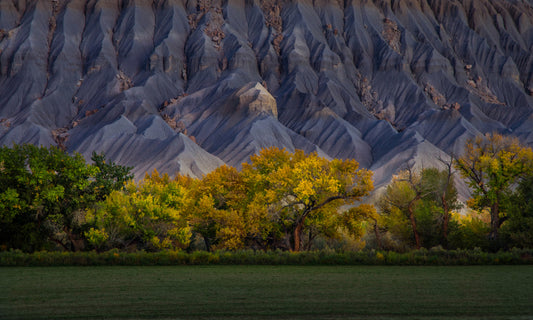 Autumn Gold in Badlands fototapet