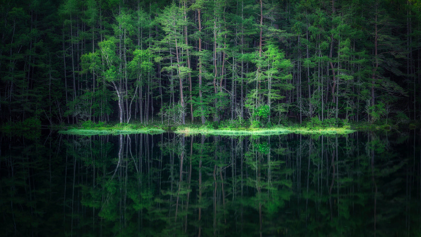 Green World fototapet