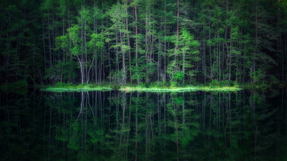 Green World fototapet