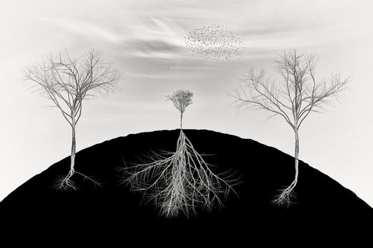 weakness is not your weakness fototapet