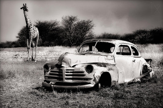 Acquaintance fototapet