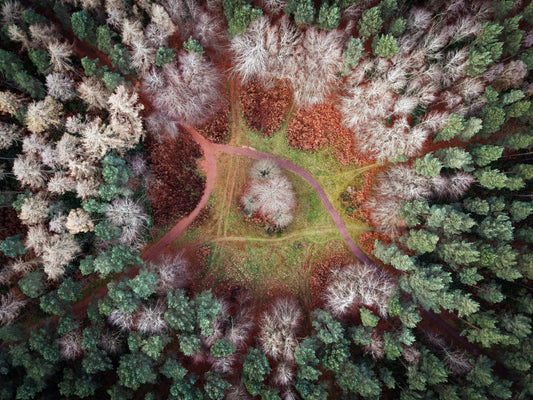 Autumn into Winter fototapet