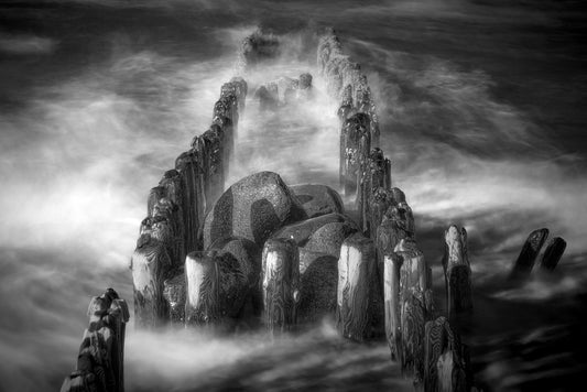 Wooden groyne in the morning sun - BW fototapet