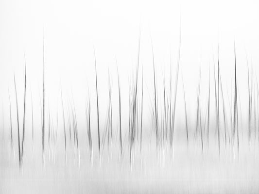 Wintry scenery in Yellowstone fototapet