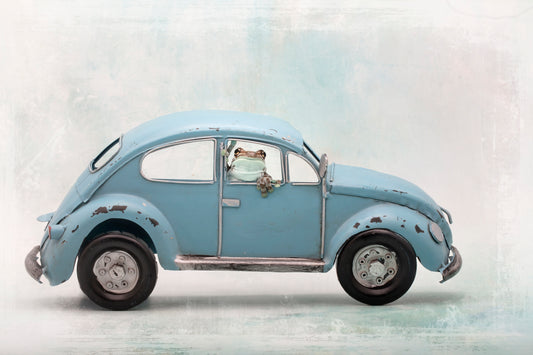 Amazon Milk Frog in VW Bug fototapet