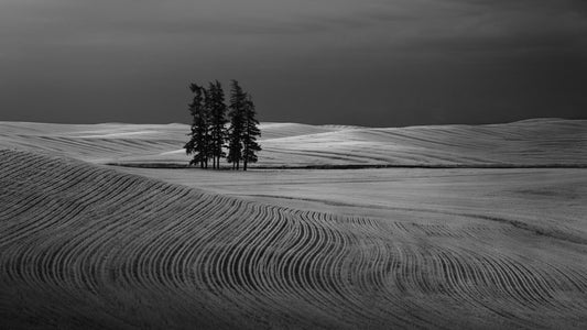 We are not lonely fototapet