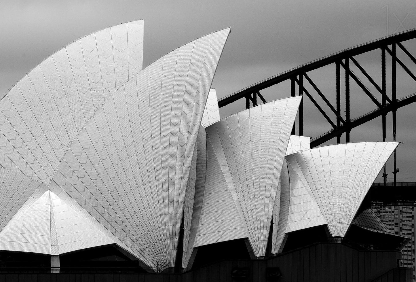 Opera house Sydney fototapet