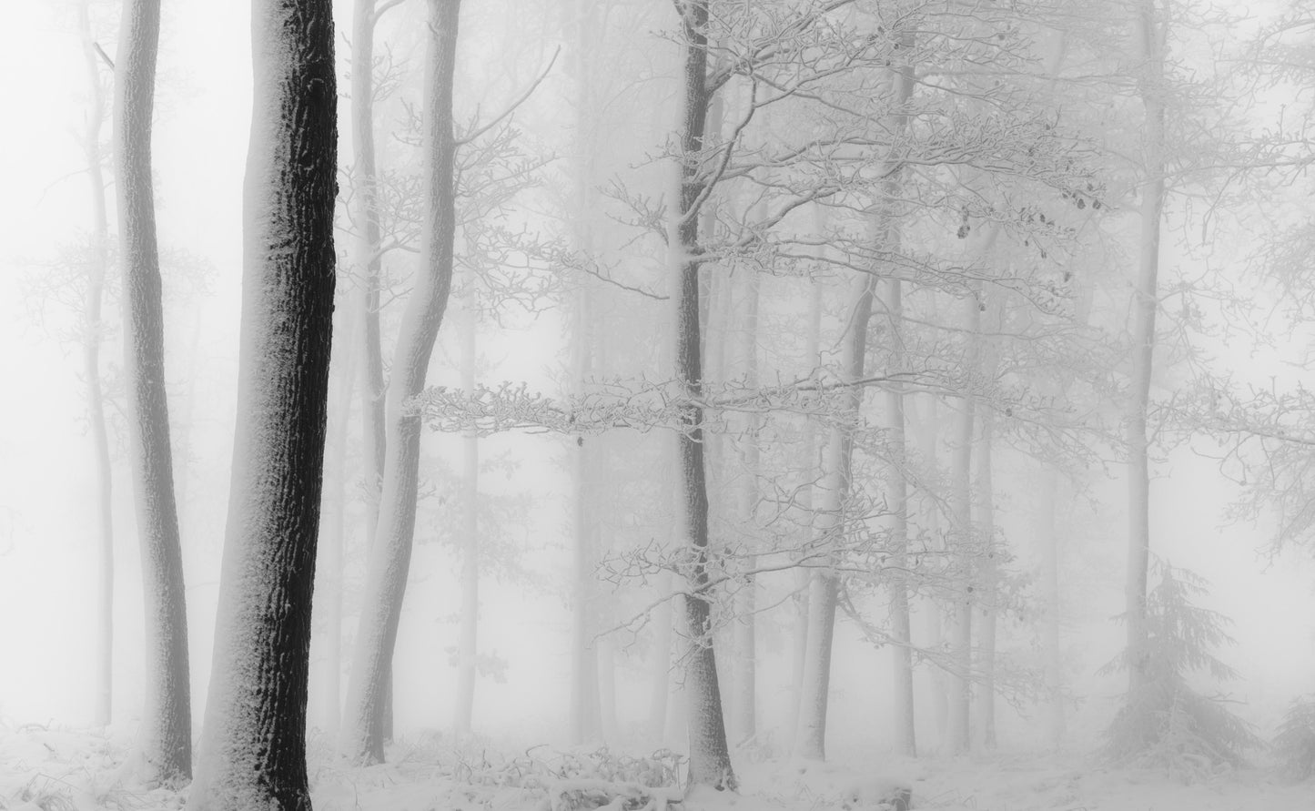 White universe fototapet