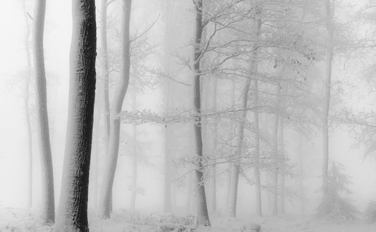 White universe fototapet