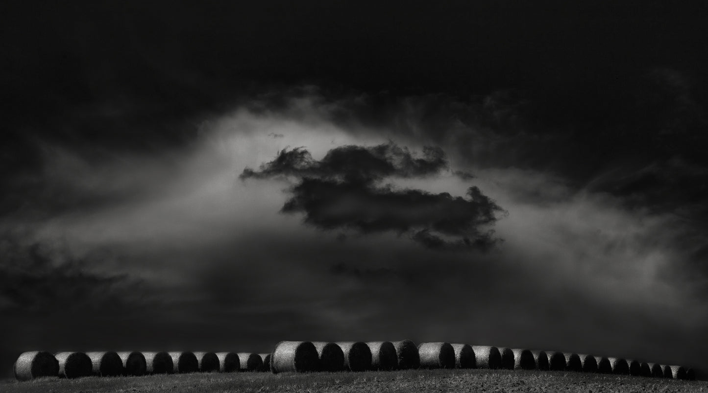 Wheels of hay soaking in late sunshine... fototapet