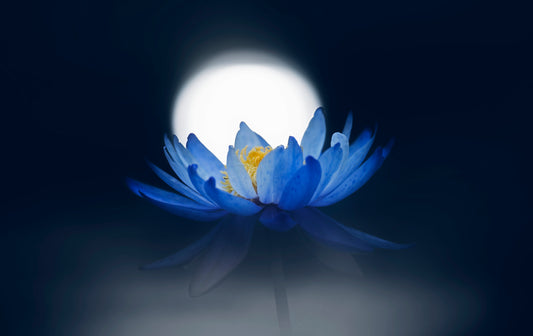 Fleeting dream fototapet