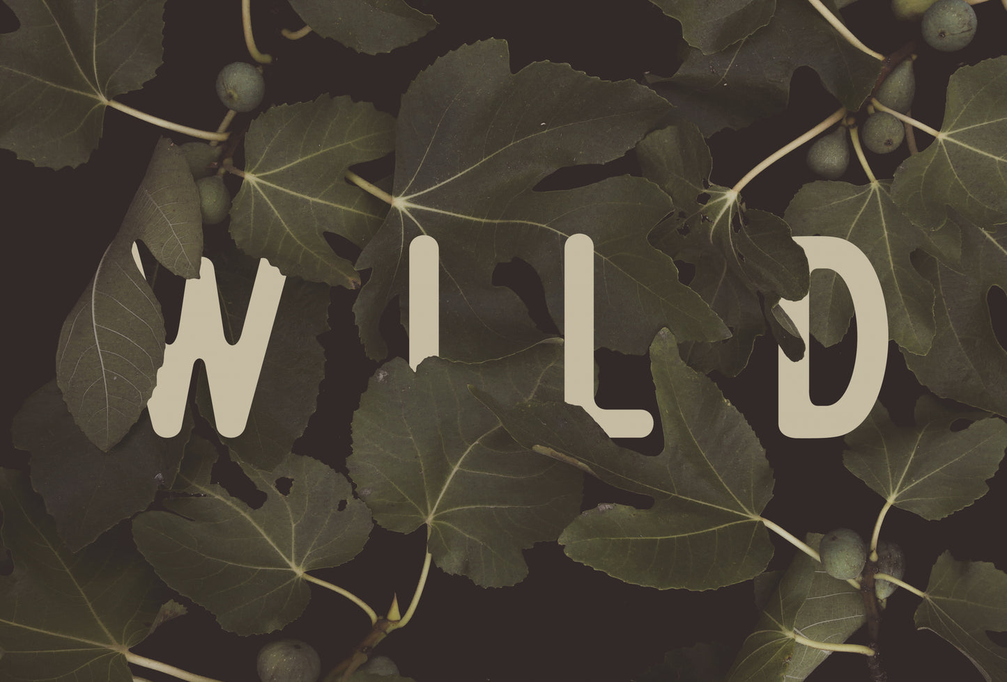 Wild Nº2 fototapet
