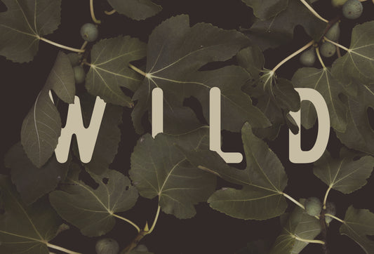 Wild Nº2 fototapet