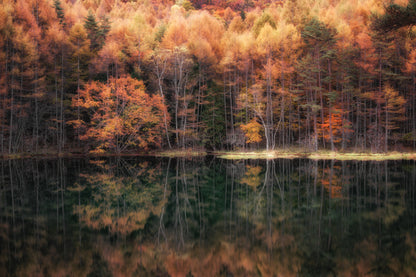 Beautiful reflection in Autumn fototapet