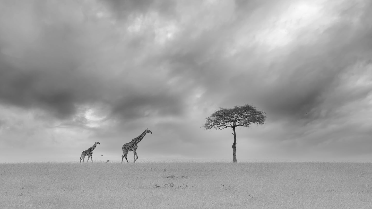 A Cloudy Day fototapet