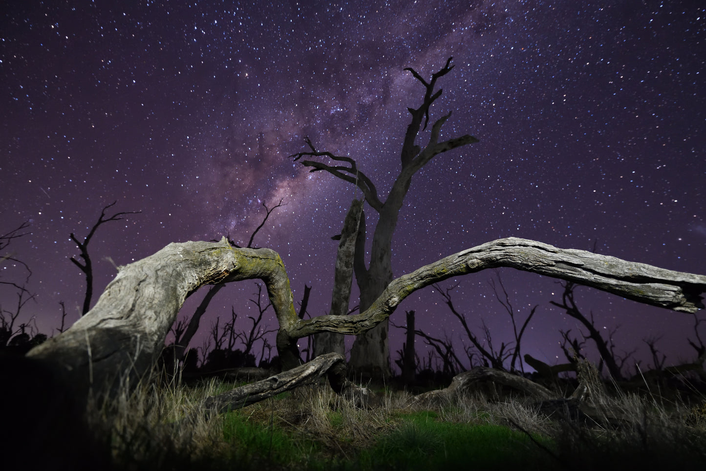 生命的永远恒 fototapet