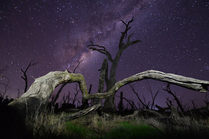 生命的永远恒 fototapet