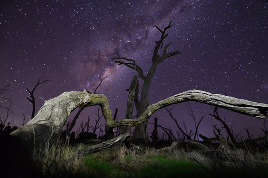 生命的永远恒 fototapet