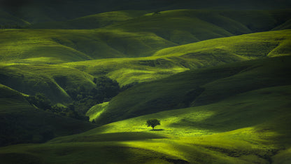 Savana Mamboro fototapet